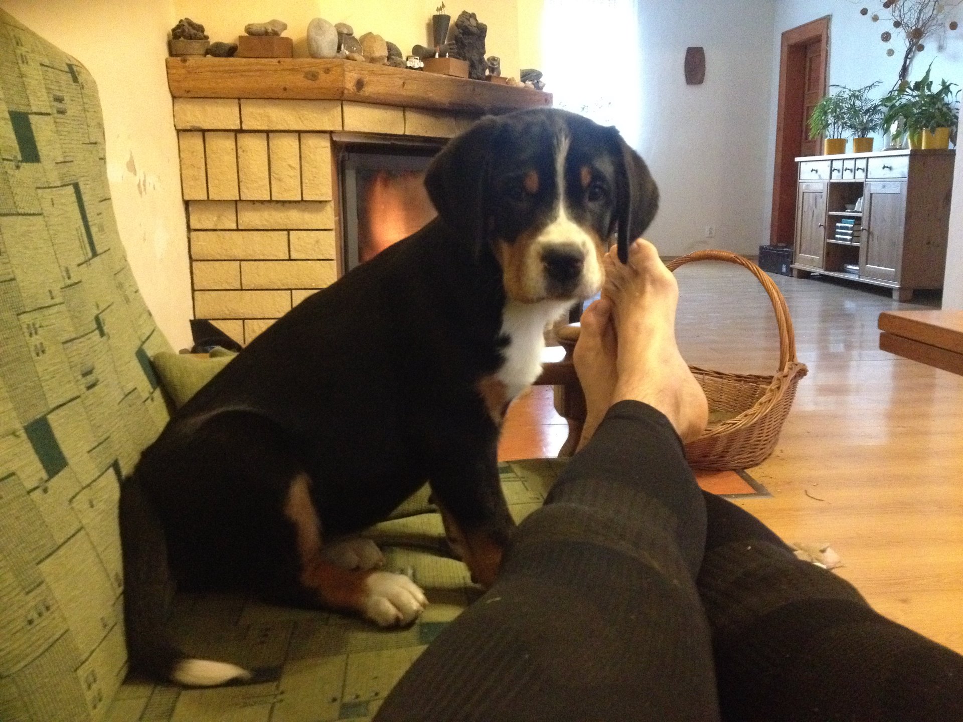 Ještě můžu na gauč...