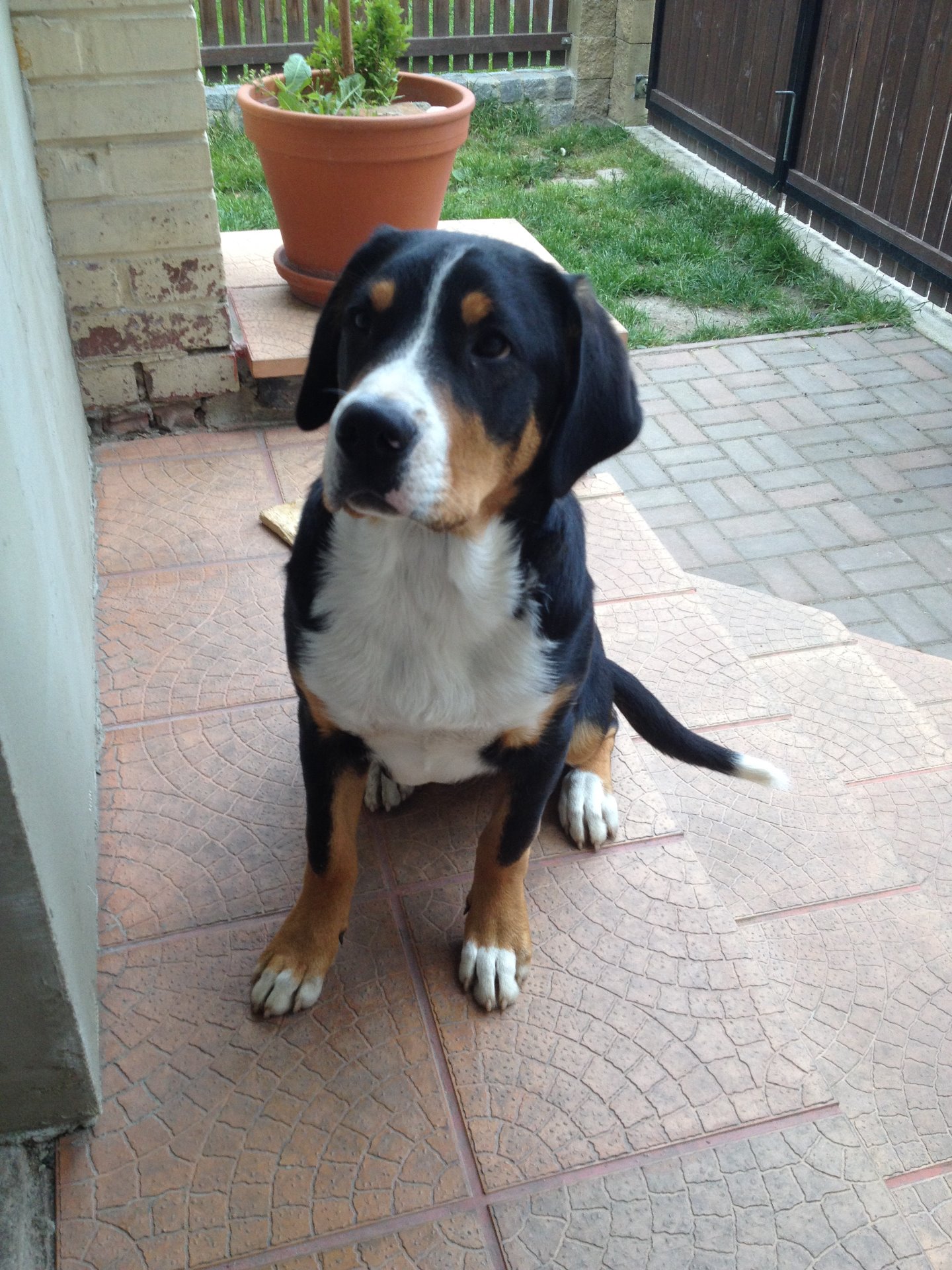 A už jsem na dvoře