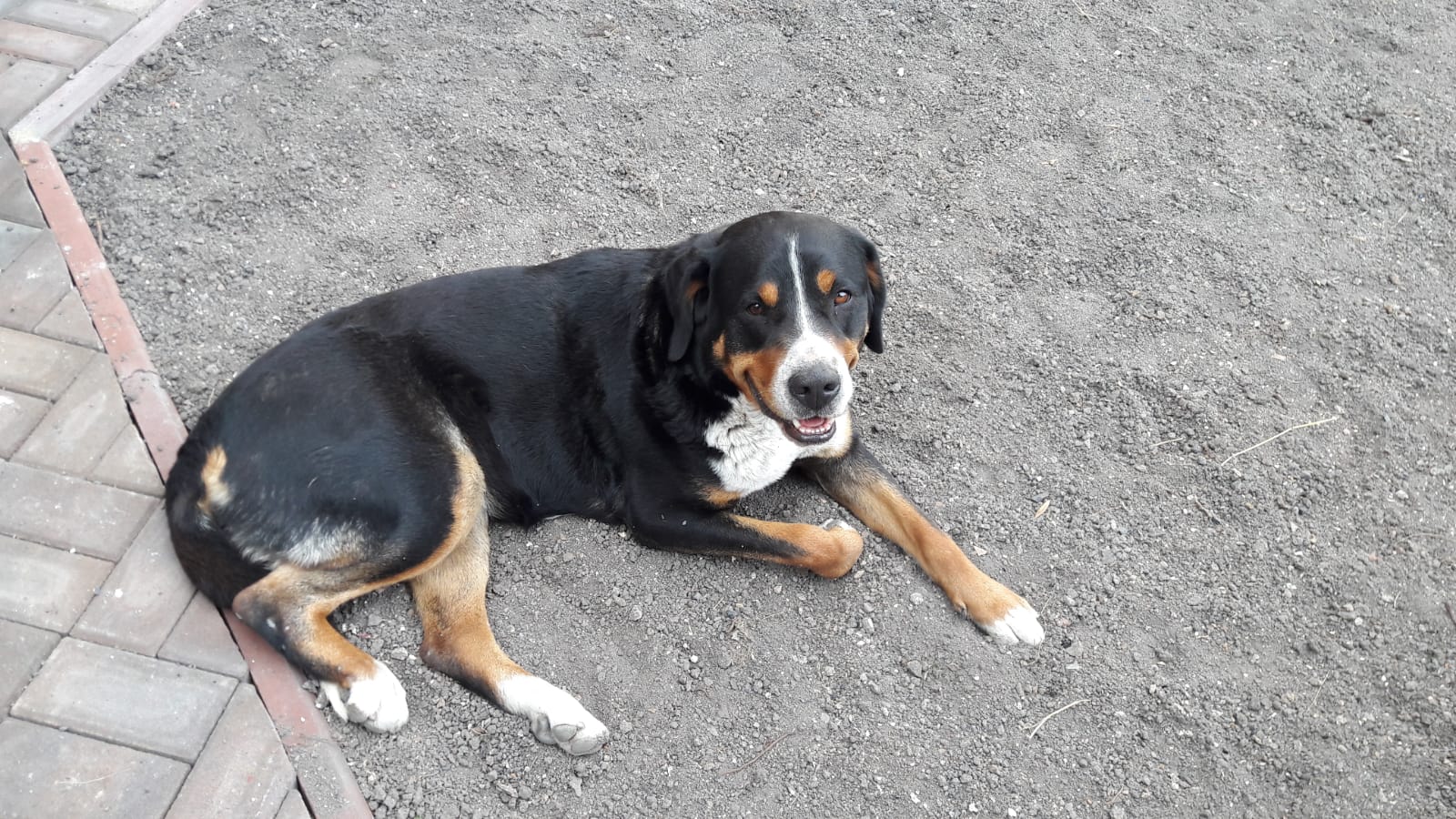 Mám to všechno pod kontrolou