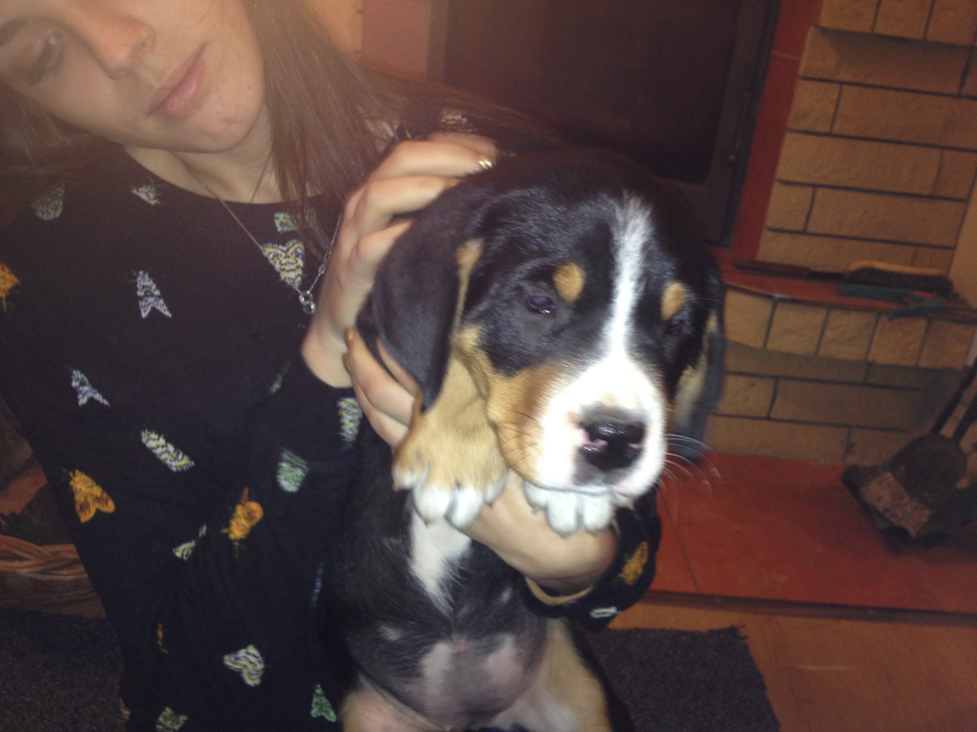 Jsem v novém domově