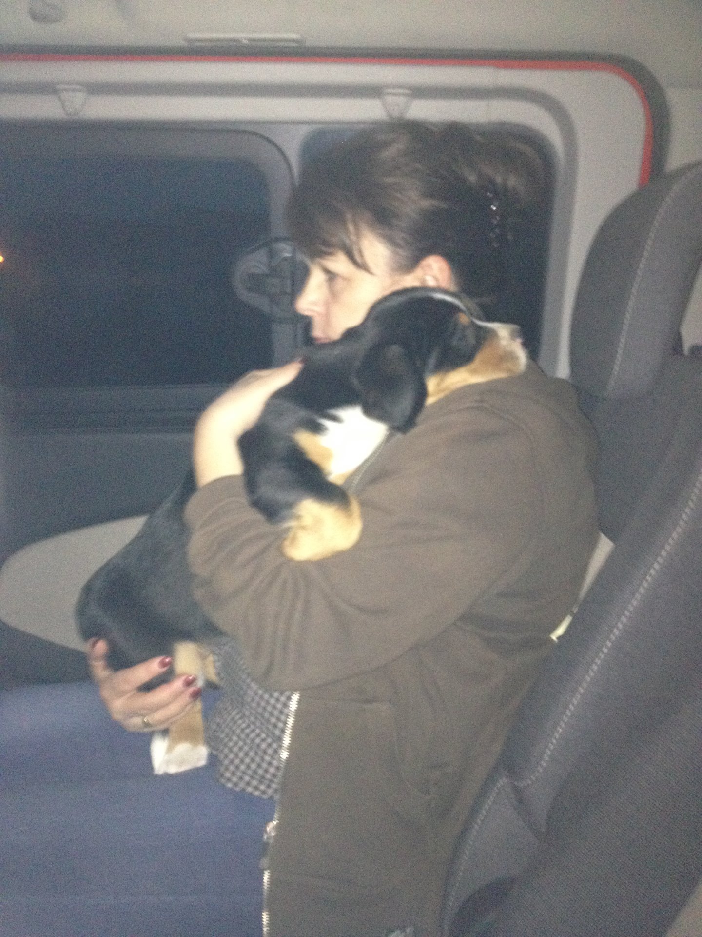 Jedu k novým páníčkům